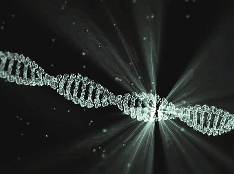 A research team led by Peking University has developed a groundbreaking method to store data on DNA through DNA methylation, bypassing the need to synthesize new DNA strands