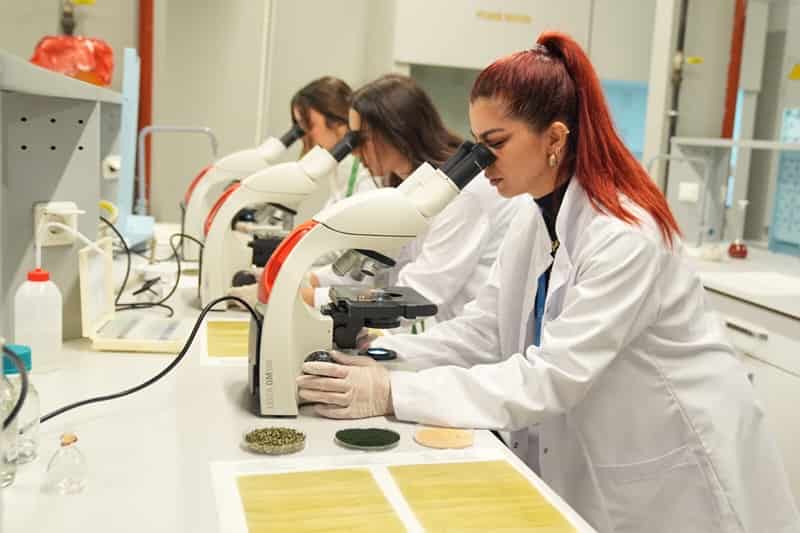 Türkiye is developing biodegradable agricultural films made from algae as a sustainable alternative to plastic, which is commonly used in farming but contributes to pollution and microplastic contamination in soil and water